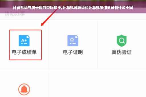 计算机证书属于服务类吗知乎,计算机等级证和计算机操作员证有什么不同