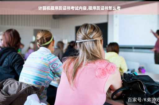 计算机程序员证书考试内容,程序员证书怎么考