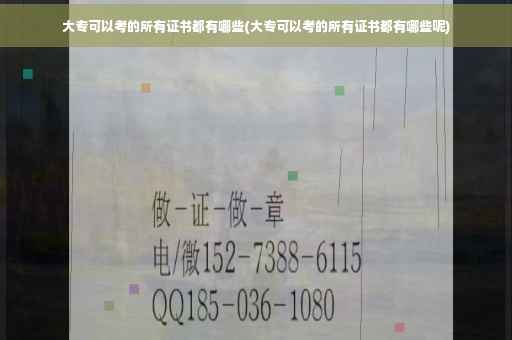 大专可以考的所有证书都有哪些(大专可以考的所有证书都有哪些呢)