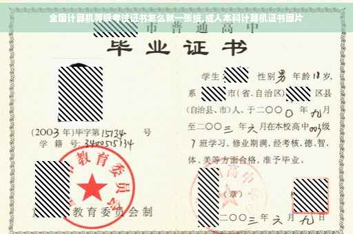 全国计算机等级考试证书怎么就一张纸,成人本科计算机证书图片