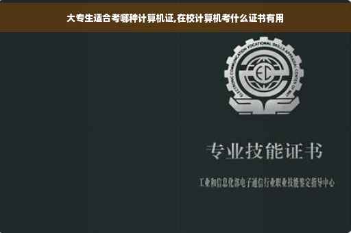 大专生适合考哪种计算机证,在校计算机考什么证书有用