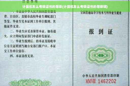计算机怎么考级证书的等级(计算机怎么考级证书的等级呢)
