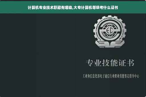 计算机专业技术职称有哪些,大专计算机等级考什么证书