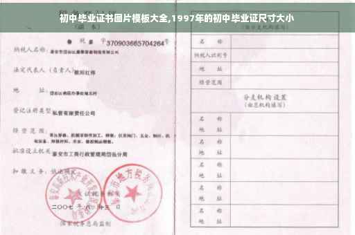 初中毕业证书图片模板大全,1997年的初中毕业证尺寸大小