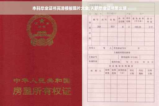 本科毕业证书高清模板图片大全,入职毕业证书怎么填
