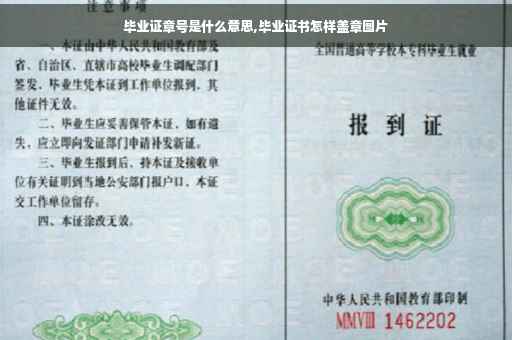 毕业证章号是什么意思,毕业证书怎样盖章图片