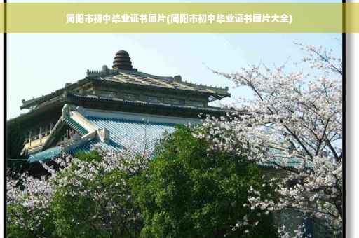 简阳市初中毕业证书图片(简阳市初中毕业证书图片大全)
