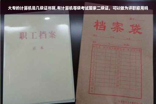 大专的计算机是几级证书啊,有计算机等级考试国家二级证，可以做为评职称用吗