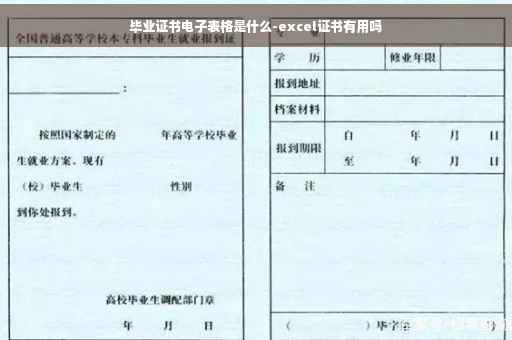 毕业证书电子表格是什么-excel证书有用吗