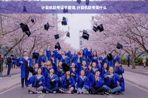 计算机软考证书查询,计算机软考是什么