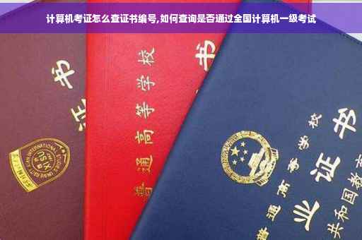 计算机考证怎么查证书编号,如何查询是否通过全国计算机一级考试