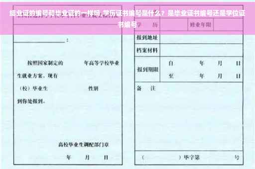 结业证的编号和毕业证的一样吗,学历证书编号是什么？是毕业证书编号还是学位证书编号