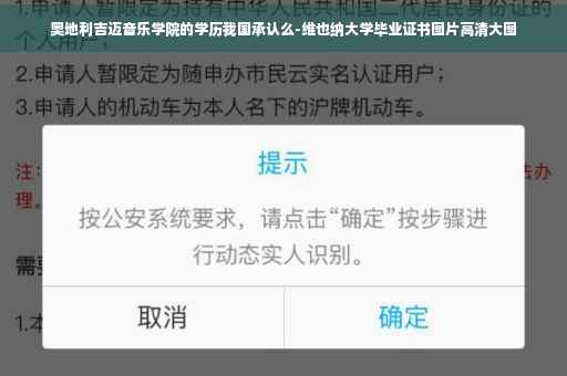 奥地利吉迈音乐学院的学历我国承认么-维也纳大学毕业证书图片高清大图