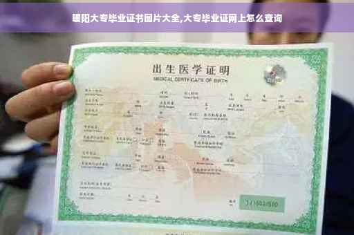 暖阳大专毕业证书图片大全,大专毕业证网上怎么查询