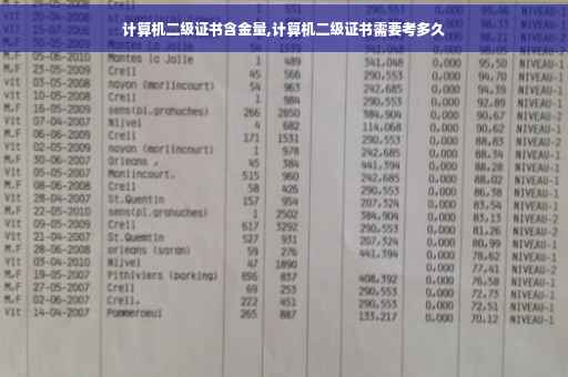 计算机二级证书含金量,计算机二级证书需要考多久