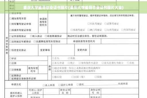 重庆大学编导毕业证书图片(重庆大学编导毕业证书图片大全)