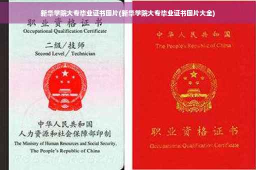 新华学院大专毕业证书图片(新华学院大专毕业证书图片大全)