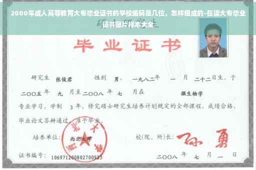 2000年成人高等教育大专毕业证书的学校编码是几位，怎样组成的-在读大专毕业证书图片样本大全