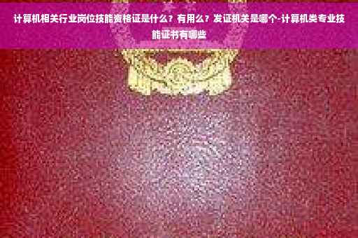 计算机相关行业岗位技能资格证是什么？有用么？发证机关是哪个-计算机类专业技能证书有哪些