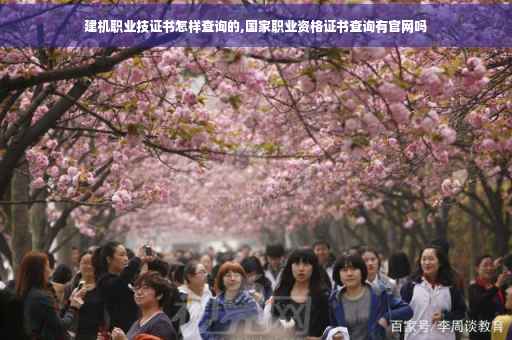 建机职业技证书怎样查询的,国家职业资格证书查询有官网吗