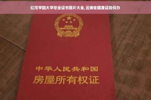 红河学院大学毕业证书图片大全,云南省健康证如何办 红河学院大学毕业证书图片大全,云南省健康证如何办