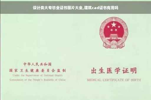 设计类大专毕业证书图片大全,建筑cad证书有用吗
