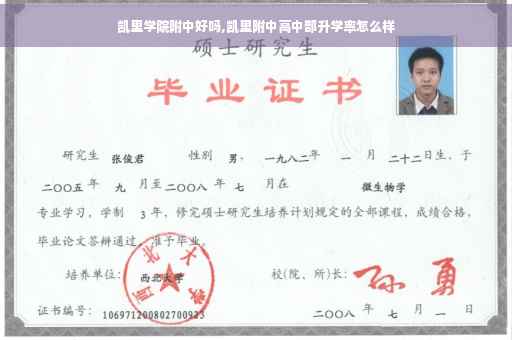 凯里学院附中好吗,凯里附中高中部升学率怎么样