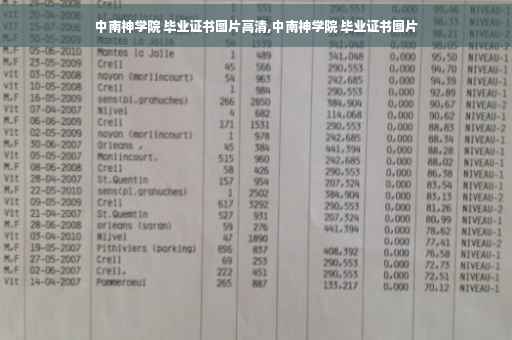中南神学院 毕业证书图片高清,中南神学院 毕业证书图片
