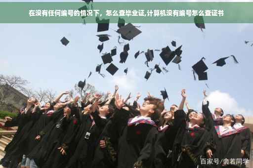 在没有任何编号的情况下，怎么查毕业证,计算机没有编号怎么查证书