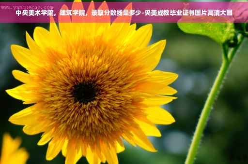 中央美术学院，建筑学院，录取分数线是多少-央美成教毕业证书图片高清大图