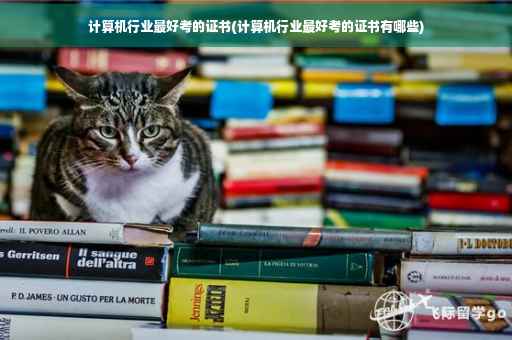 计算机行业最好考的证书(计算机行业最好考的证书有哪些)