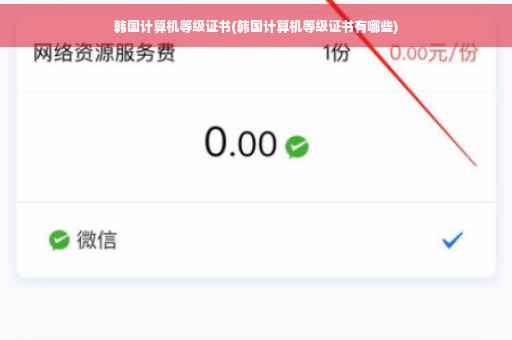 韩国计算机等级证书(韩国计算机等级证书有哪些)