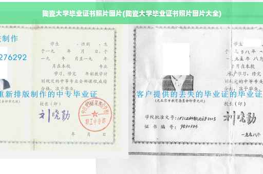 陶瓷大学毕业证书照片图片(陶瓷大学毕业证书照片图片大全)