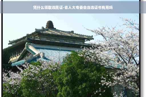 凭什么领取选民证-省人大专委会当选证书有用吗