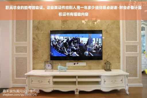 职高毕业的能考哪些证。这些真证件给别人用一年多少钱详细点谢谢-财会必备计算机证书有哪些内容