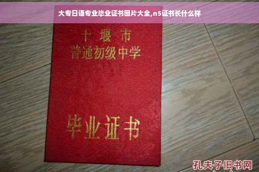 大专日语专业毕业证书图片大全,n5证书长什么样