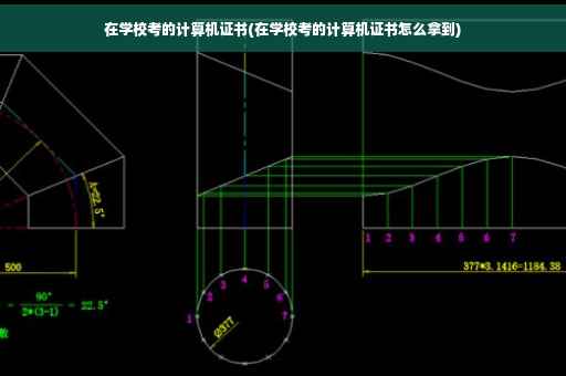 在学校考的计算机证书(在学校考的计算机证书怎么拿到)