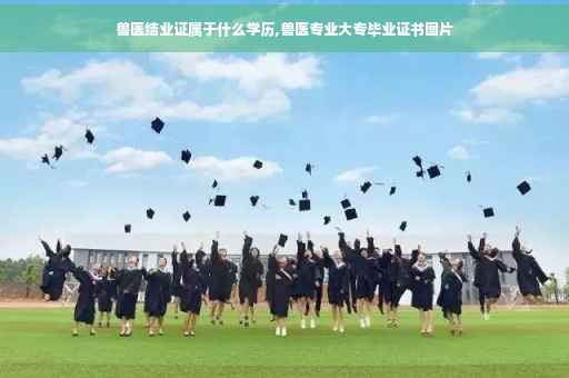 兽医结业证属于什么学历,兽医专业大专毕业证书图片
