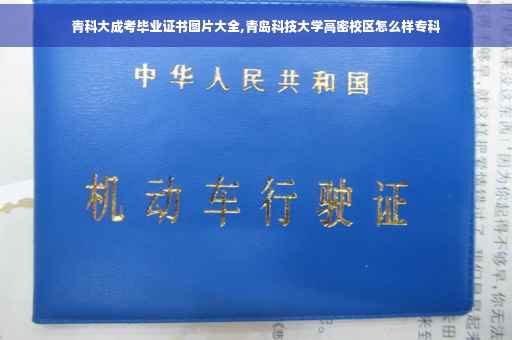 青科大成考毕业证书图片大全,青岛科技大学高密校区怎么样专科