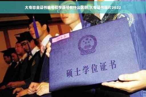 大专毕业证书编号和学籍号有什么区别,大专证书图片2022