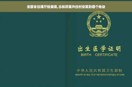 安徽省住建厅检查组,古林葑里共任村安置到哪个地块