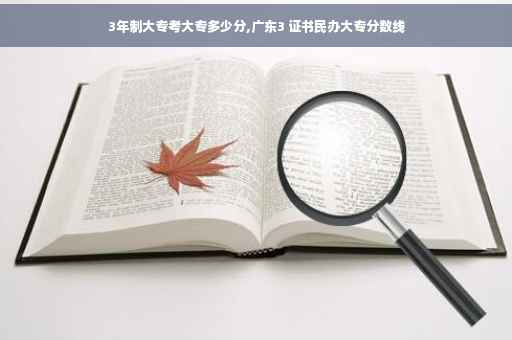 3年制大专考大专多少分,广东3 证书民办大专分数线