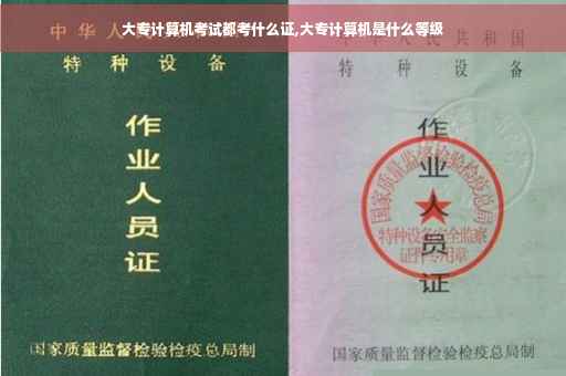大专计算机考试都考什么证,大专计算机是什么等级