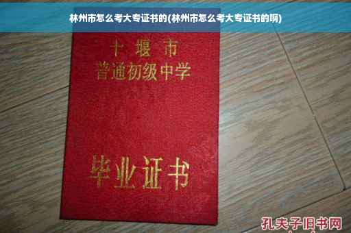 林州市怎么考大专证书的(林州市怎么考大专证书的啊)