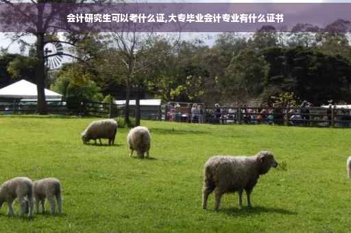 会计研究生可以考什么证,大专毕业会计专业有什么证书