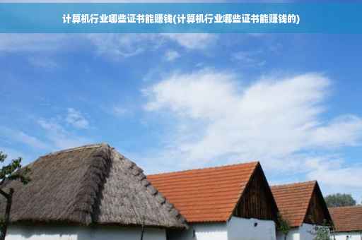 计算机行业哪些证书能赚钱(计算机行业哪些证书能赚钱的)