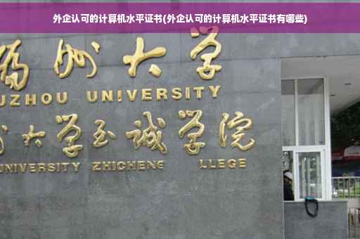 外企认可的计算机水平证书(外企认可的计算机水平证书有哪些)