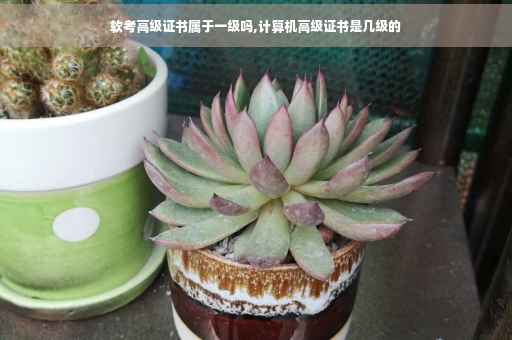 软考高级证书属于一级吗,计算机高级证书是几级的