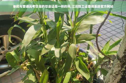 单招与普通高考毕业的毕业证是一样的吗,江苏焊工证查询系统官方网站