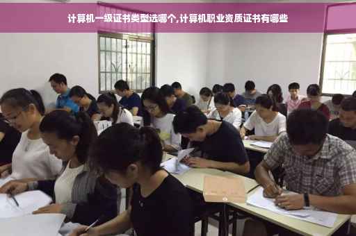 计算机一级证书类型选哪个,计算机职业资质证书有哪些